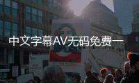 中文字幕AV无码免费一区的特点